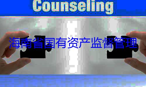 理委员会党资产监督管委副书记王海南省国有查调查有福接受审